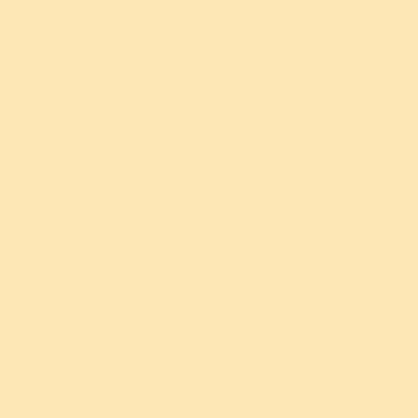 Painters Palette Flan
