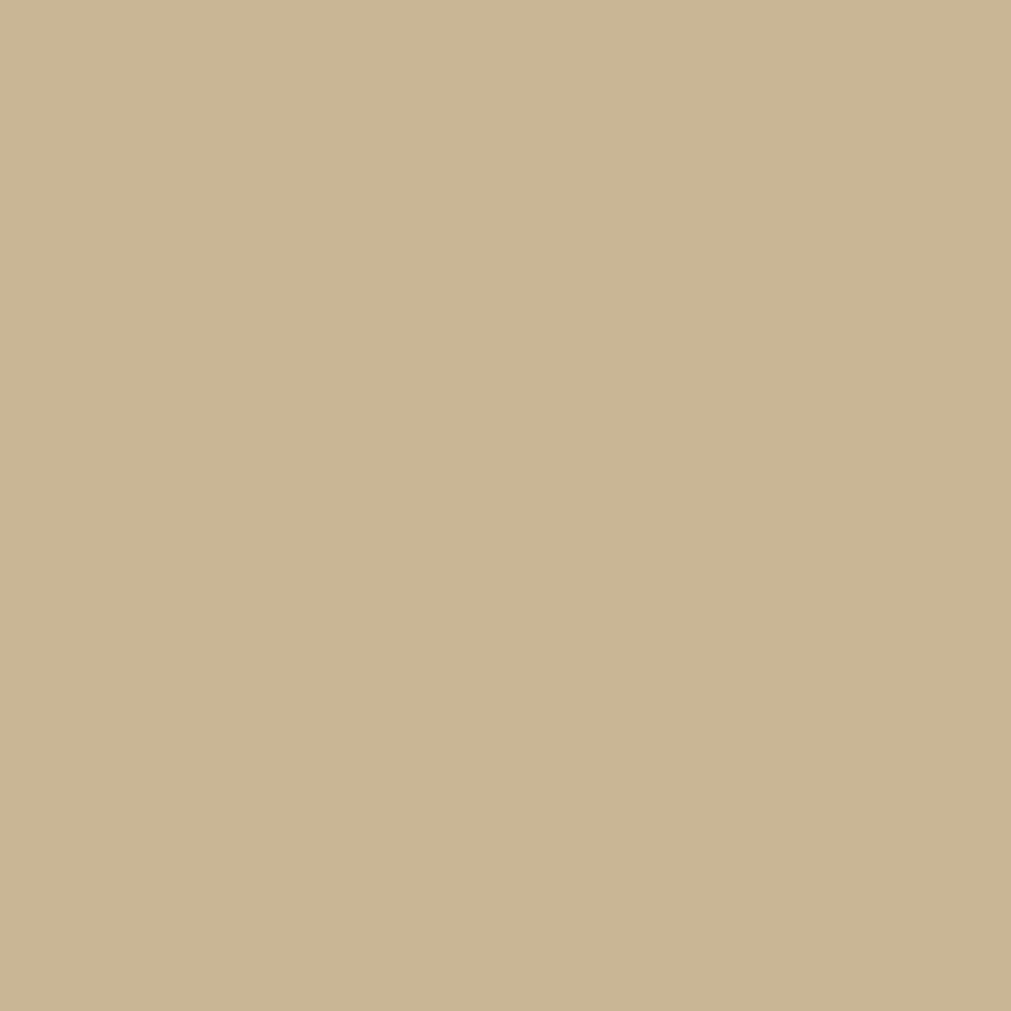 Painters Palette Dust
