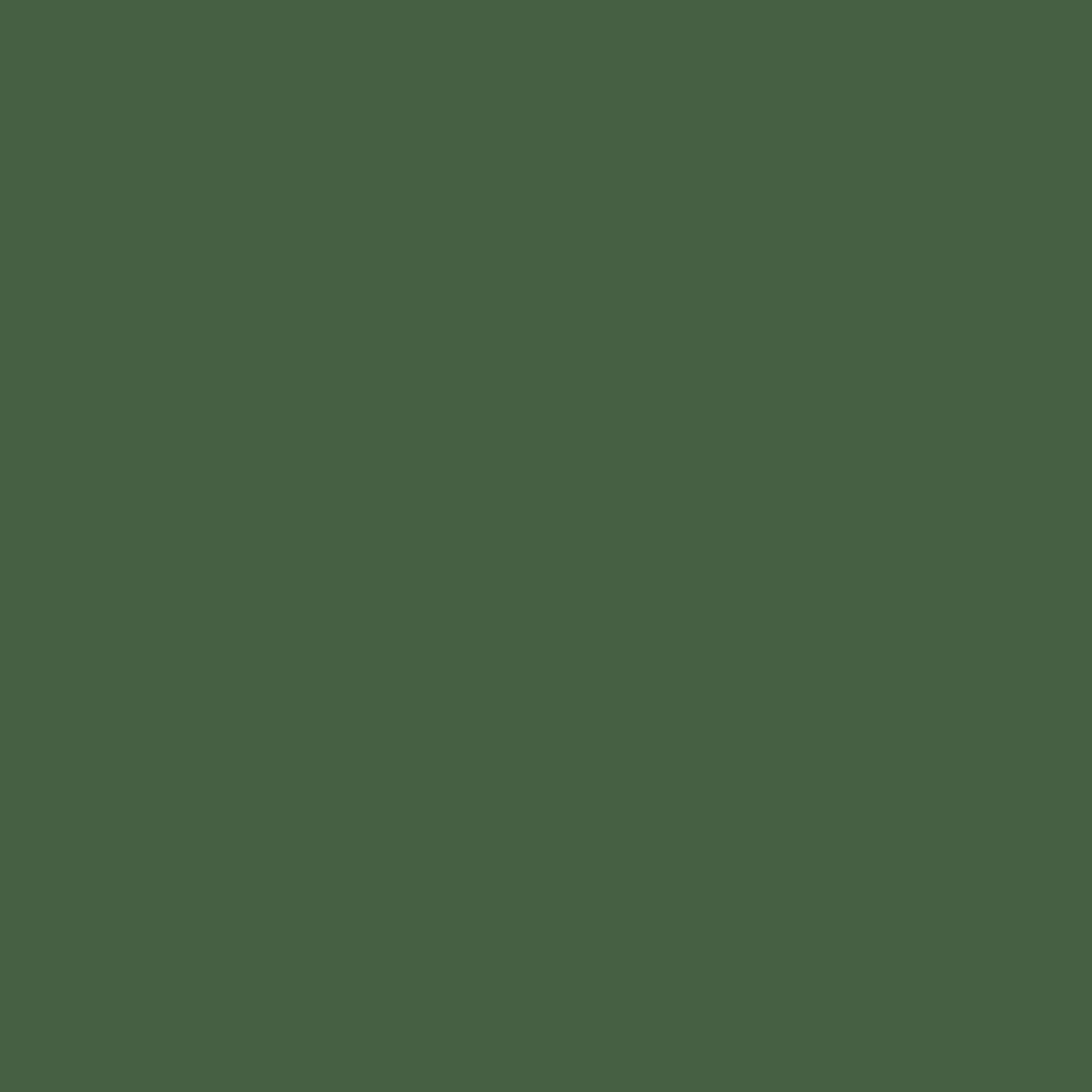 Painters Palette Dark Sea Green