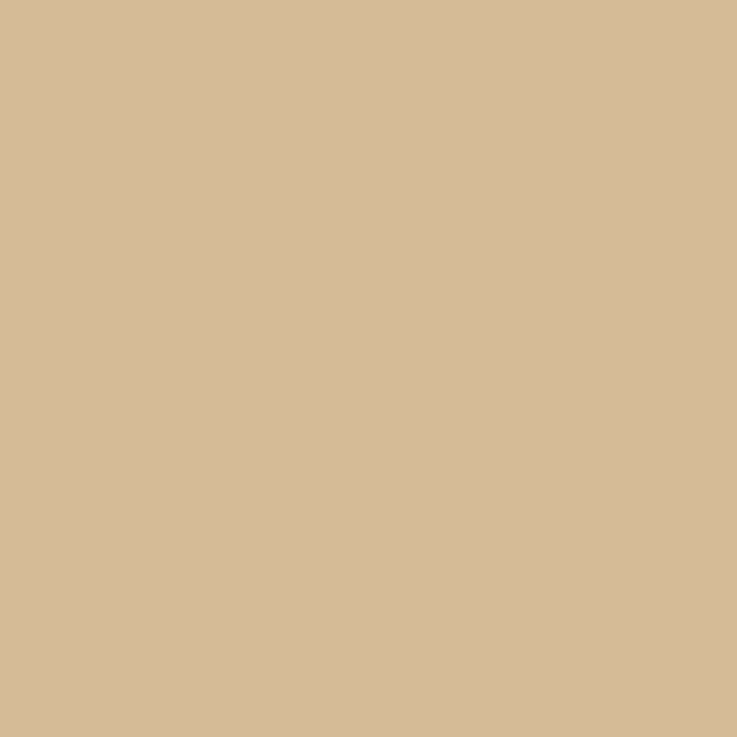 Painters Palette Ivory
