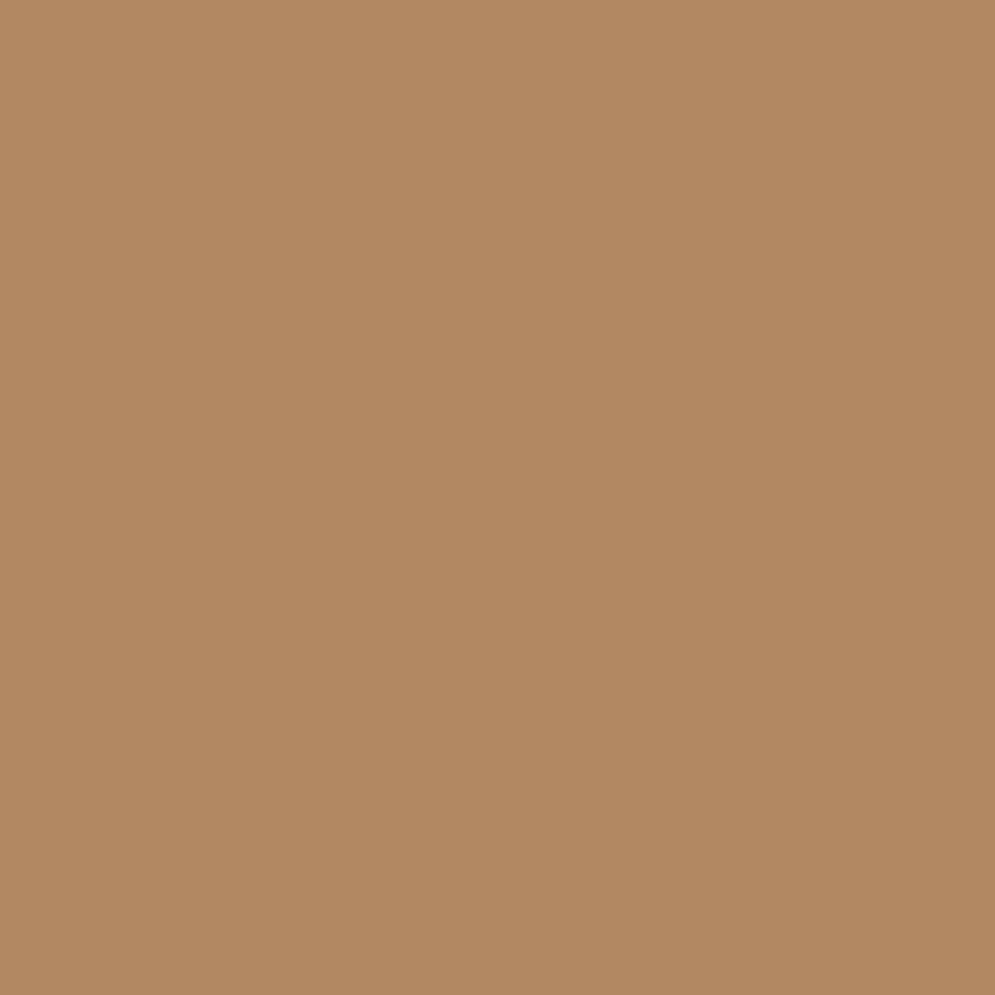Painters Palette Portabello
