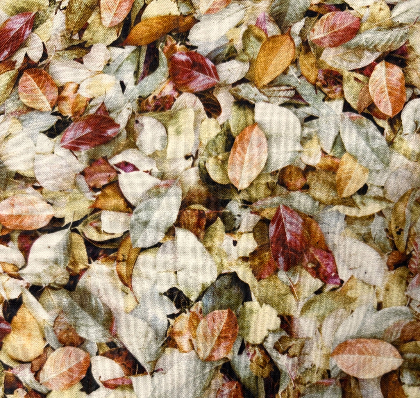 August Leaves