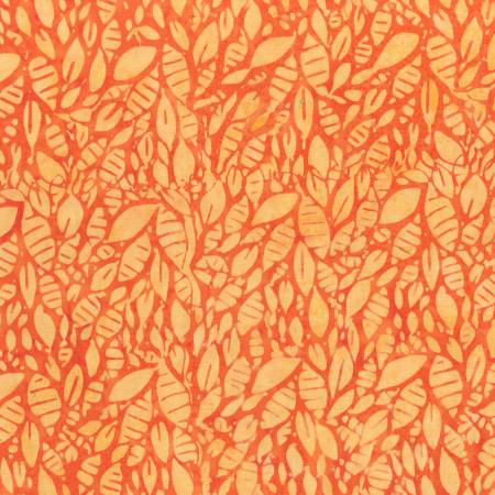Carrot