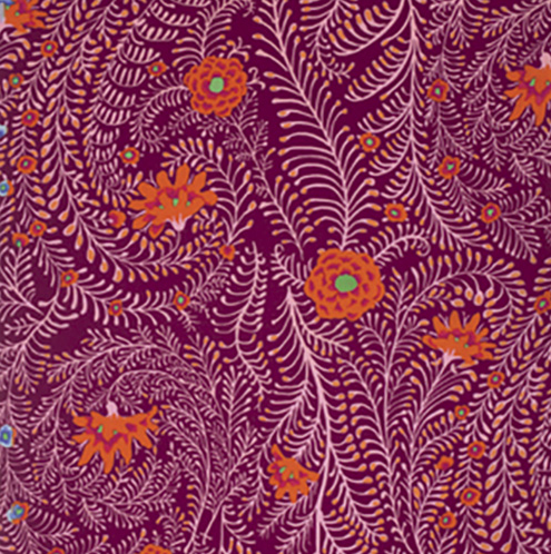 Ferns