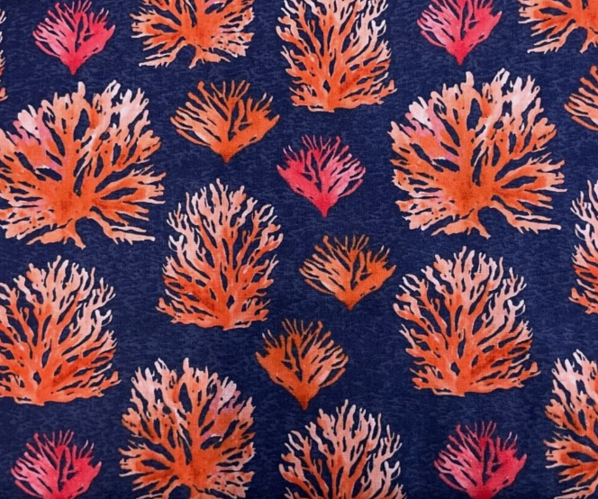 Coral Reef