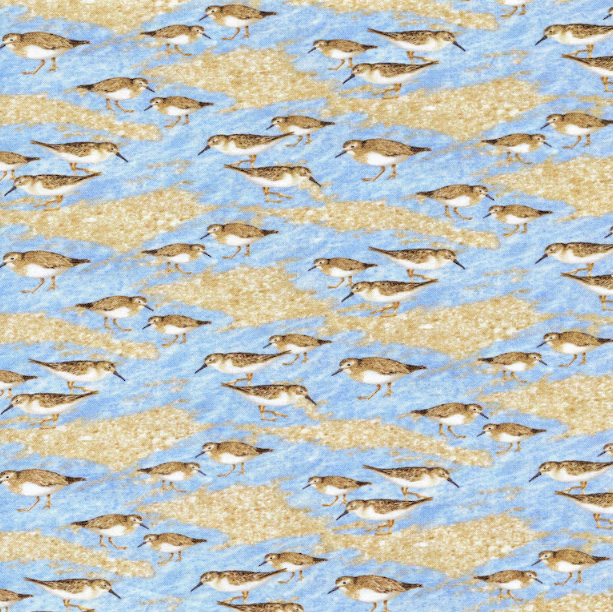 Sandpipers