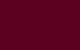 Dark Burgundy Fleece