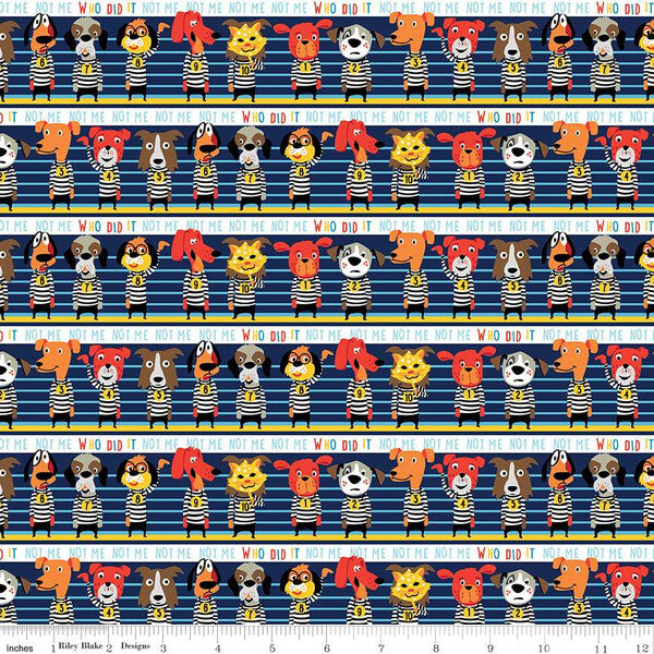 Cops & Robbers