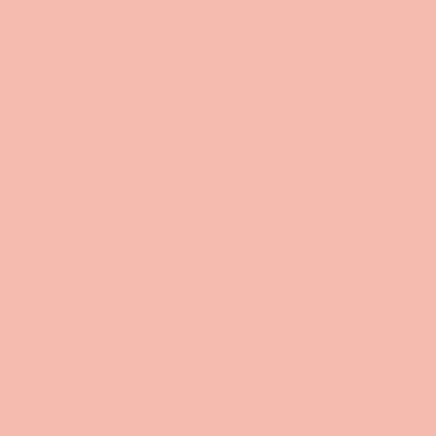 Painters Palette Rose