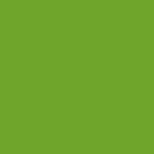 Painters Palette Mint