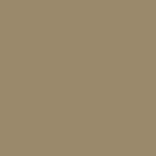 Painters Palette Taupe