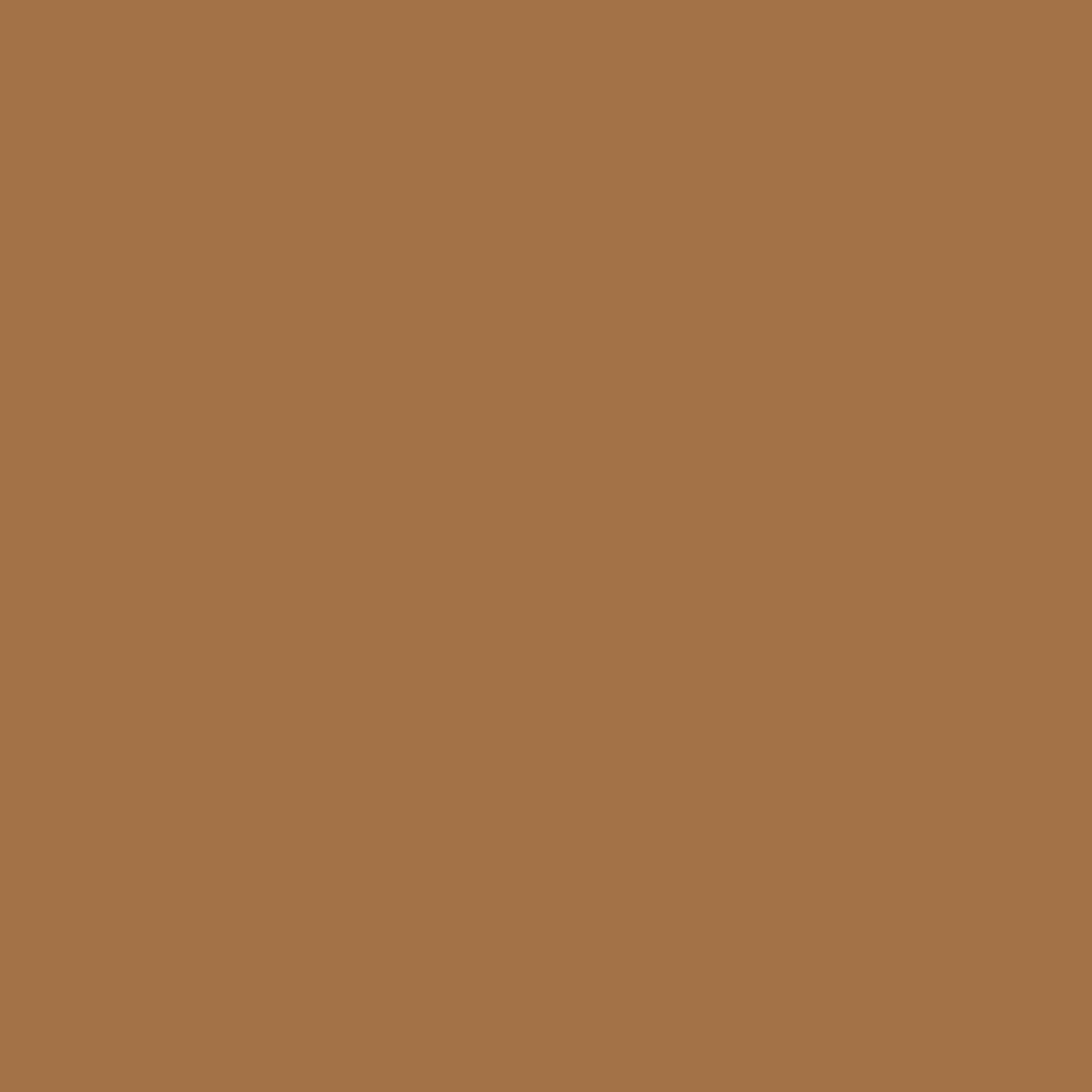 Painters Palette Mocha