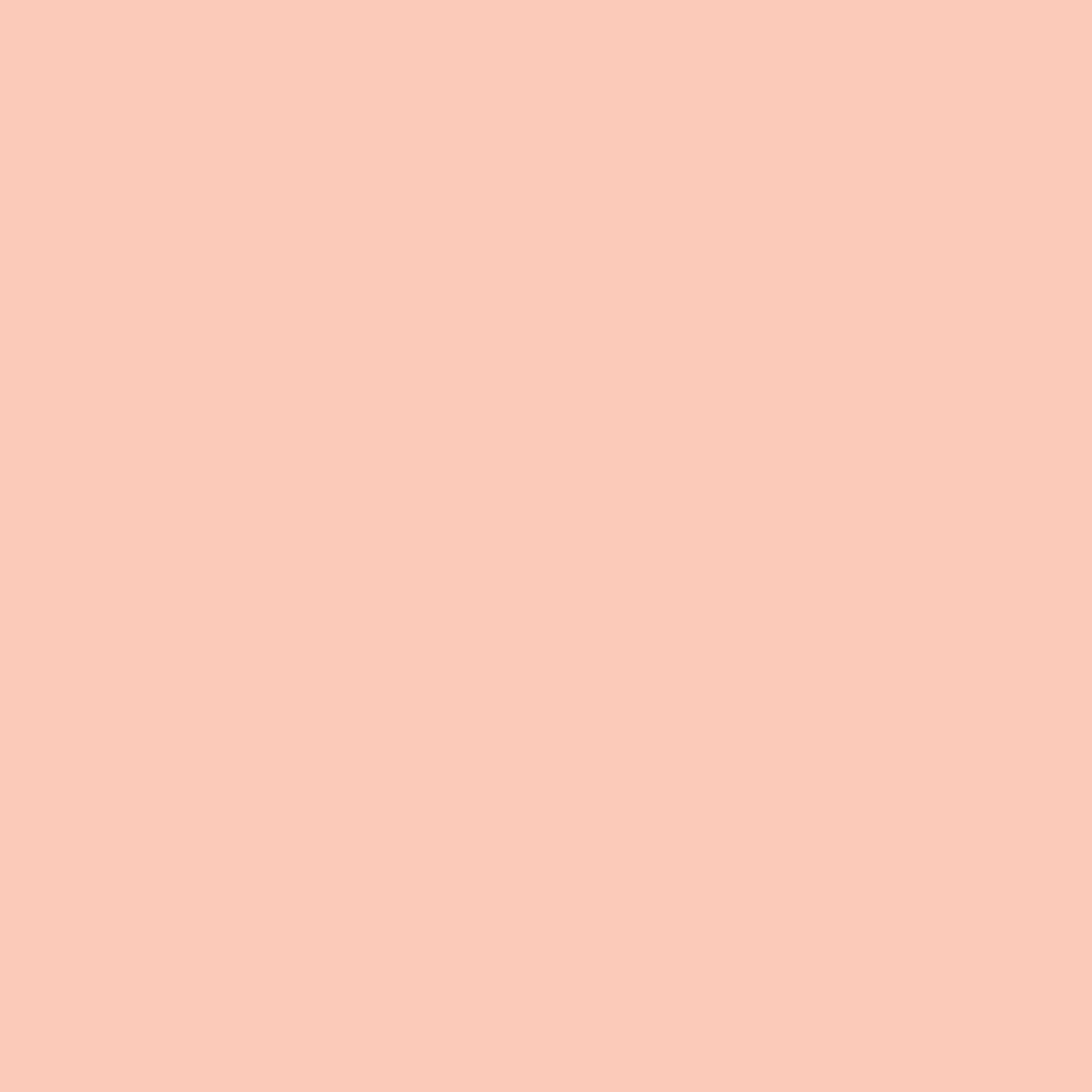 Painters Palette Pale Pink