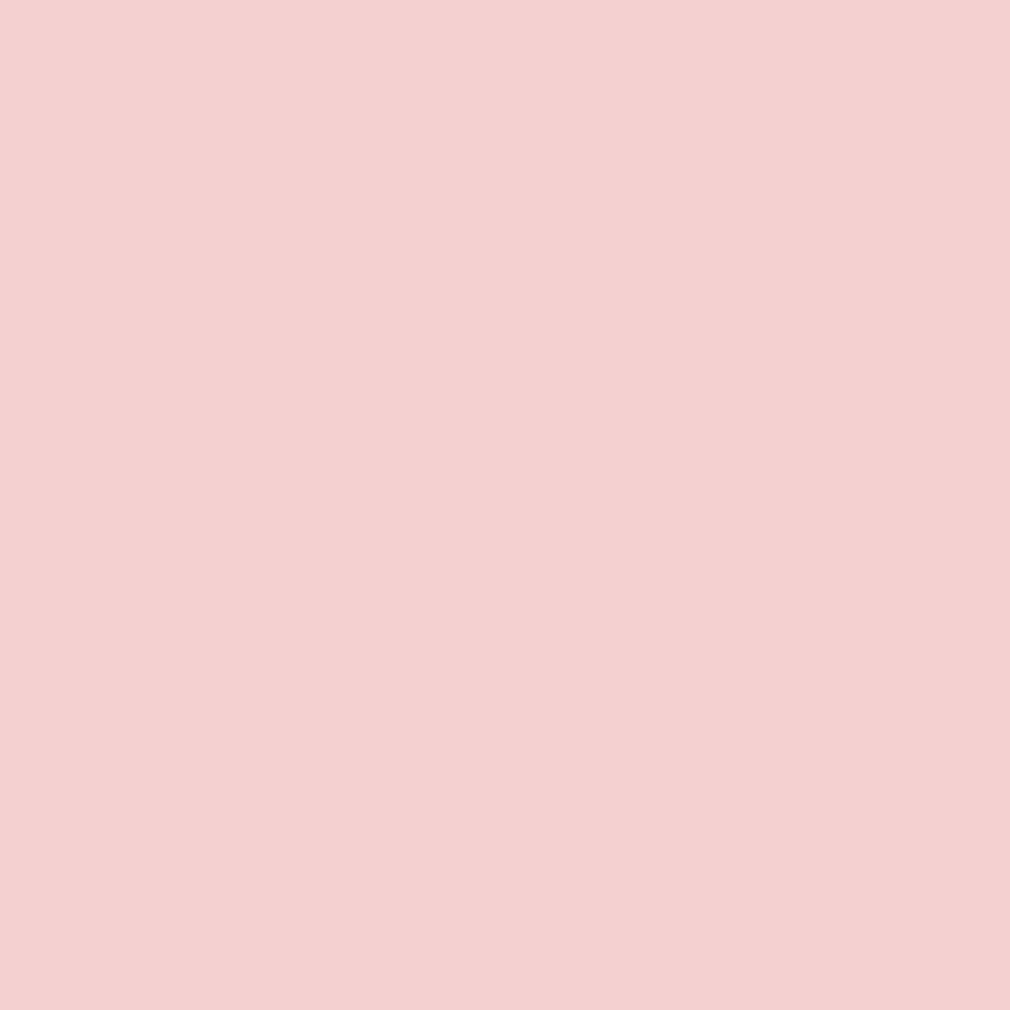 Painters Palette Carnation