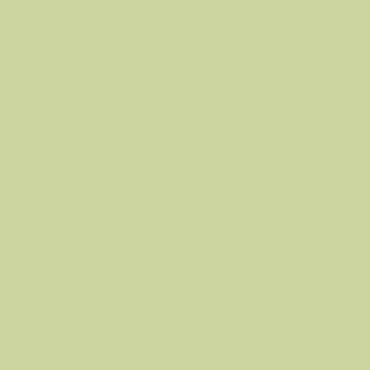Painters Palette Lime Mist