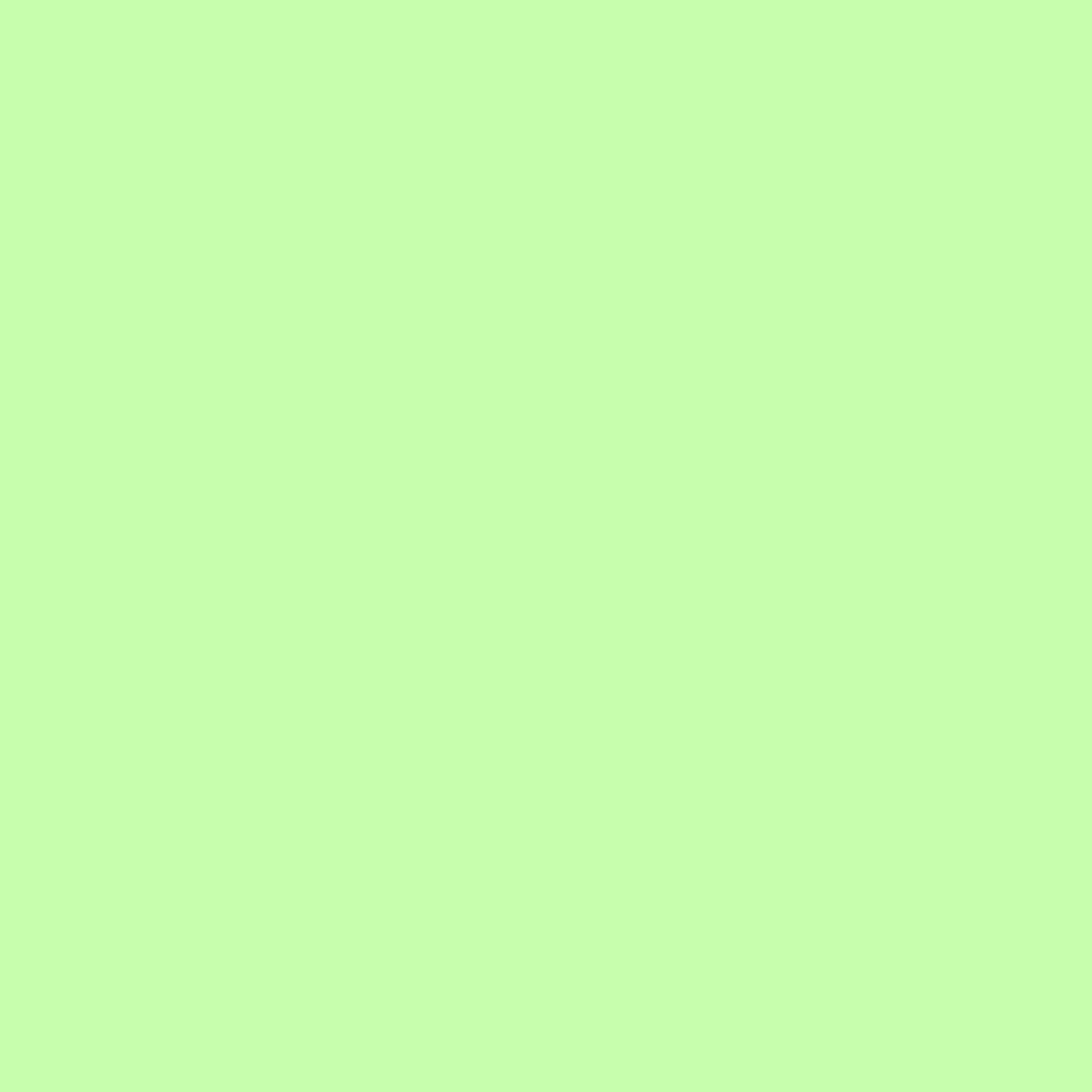 Painters Palette Agave