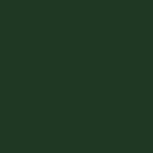 Painters Palette Woodsman