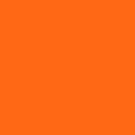 Painters Palette Carrot