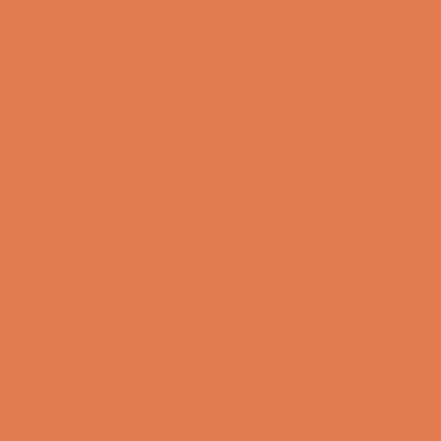 Painters Palette Jack O'Lantern