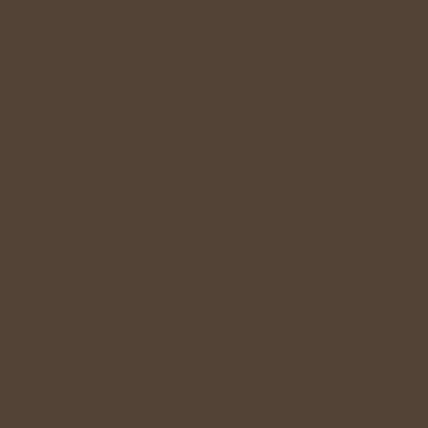 Painters Palette Burnt Sienna