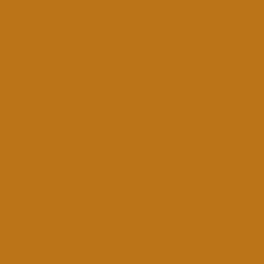 Painters Palette Cumin
