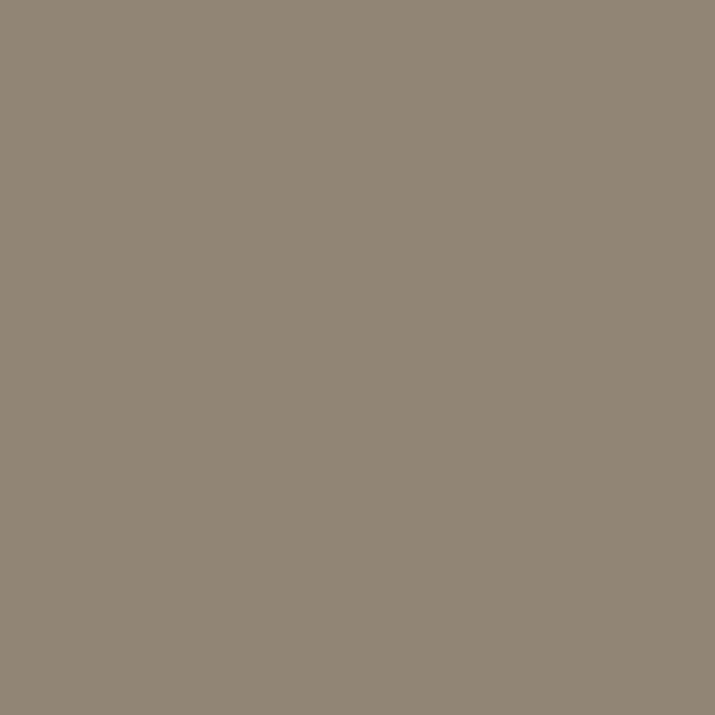 Painters Palette Mink