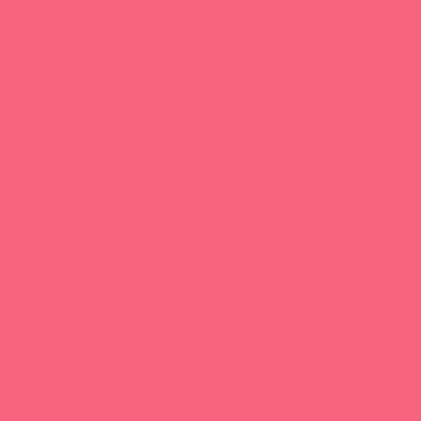 Painters Palette Hot Pink