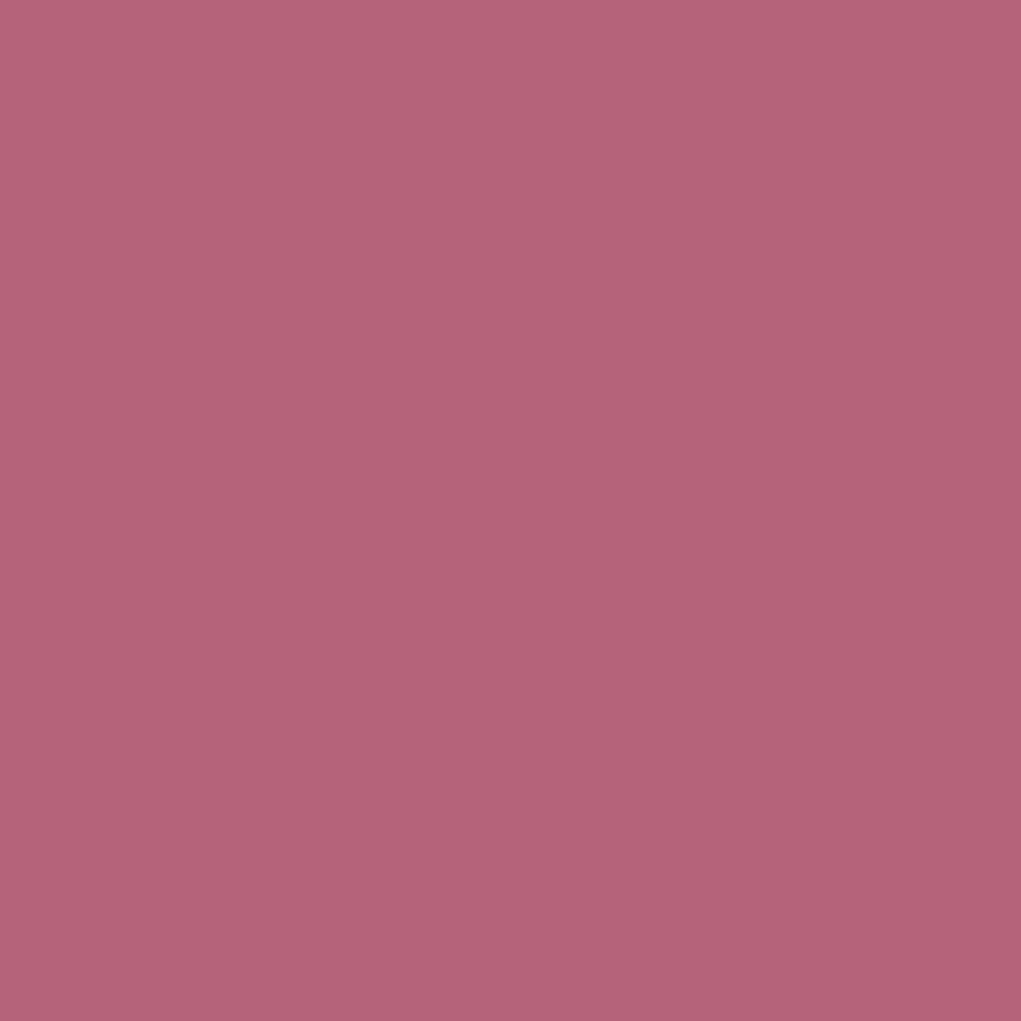Painters Palette Violet