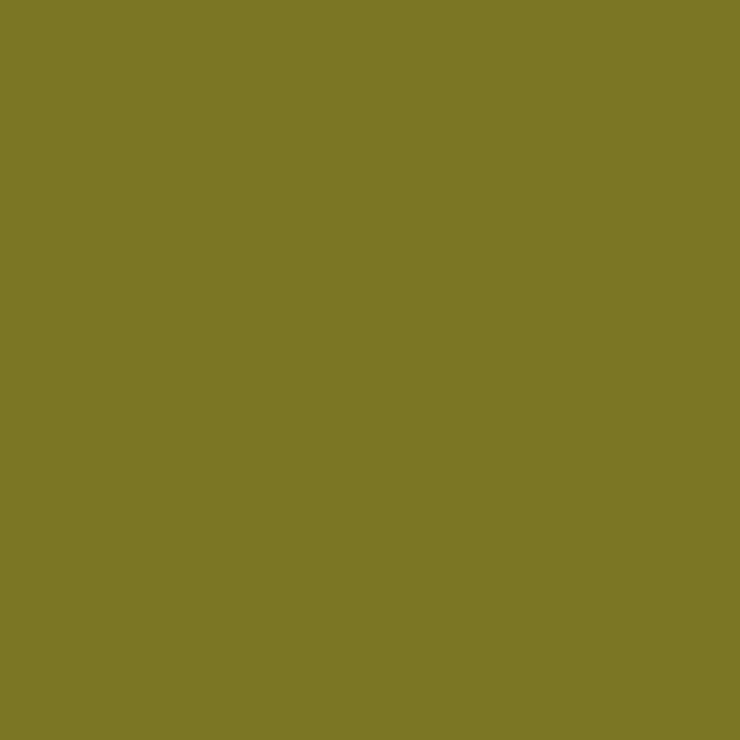 Painters Palette Guacamole