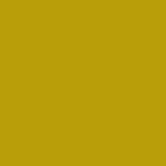 Painters Palette Frolic