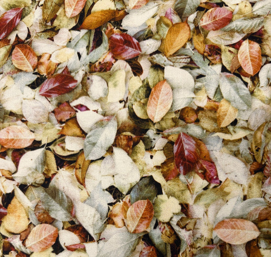 August Leaves