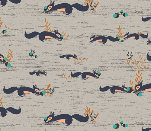 Squirrels at Play