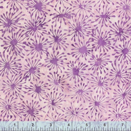 Lilac Cells