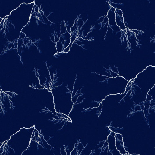 Natural Treasures II Lightning