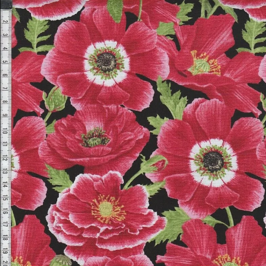 Poppy Perfection