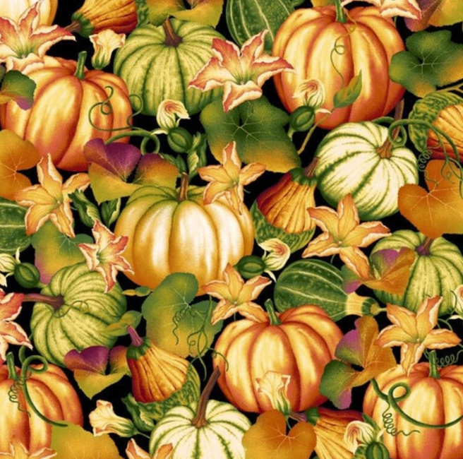 Autumn Time Pumpkin Patch