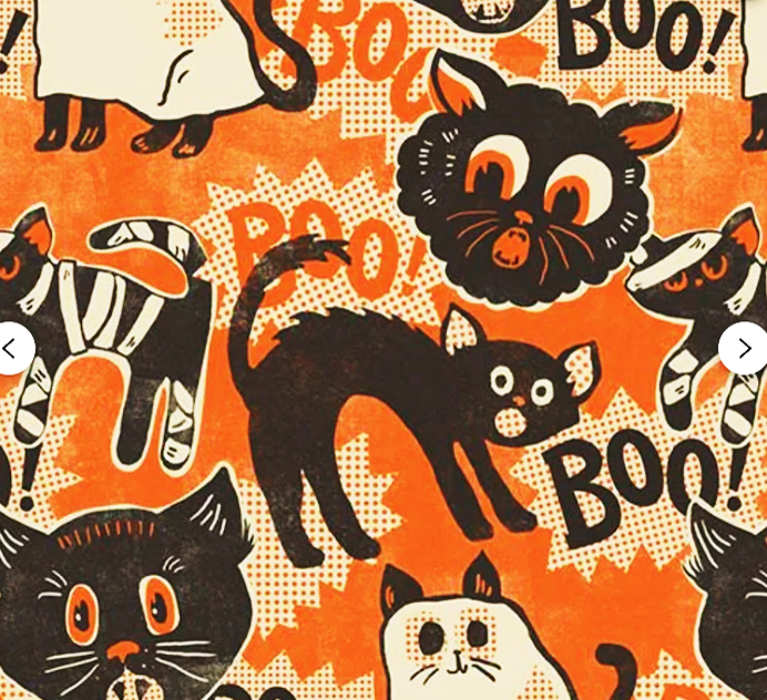 Scaredy Cat
