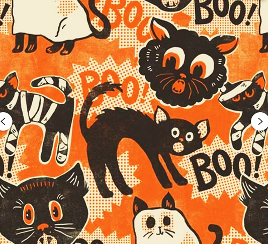 Scaredy Cat