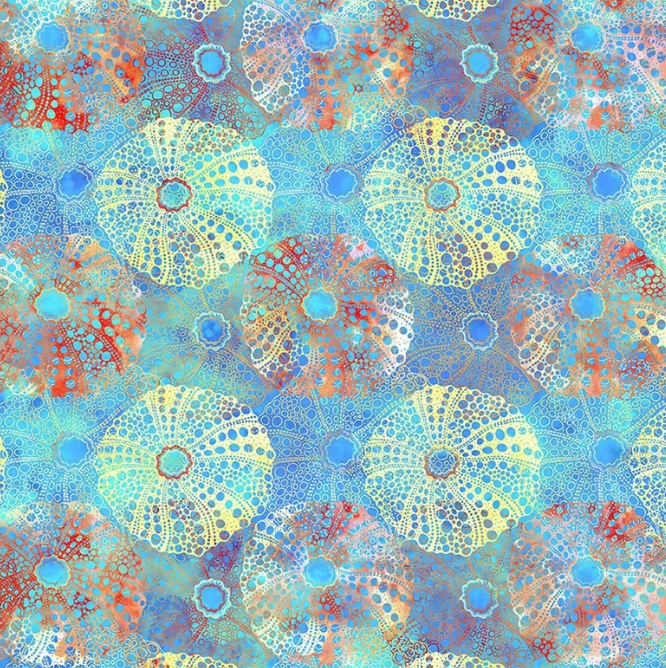 Calypso II Sea Urchins