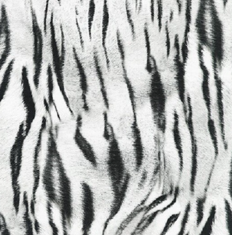 Snow Leopard