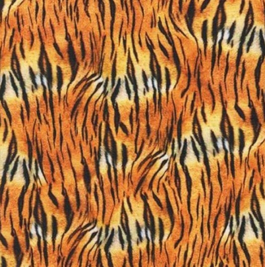 Tiger Animal Kingdom