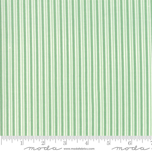 Christmas Spearmint